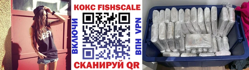площадка официальный сайт  Гаджиево  Cocaine VHQ 