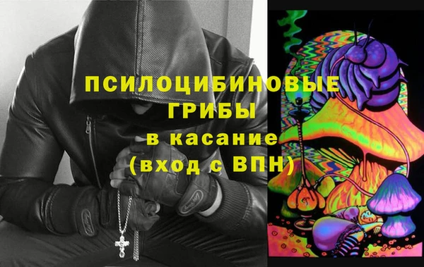 apvp Покачи