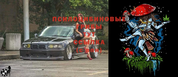 марихуана Абаза