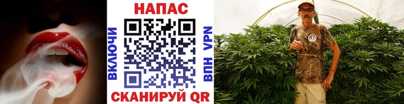 дарнет шоп  Гаджиево  Шишки марихуана VHQ 